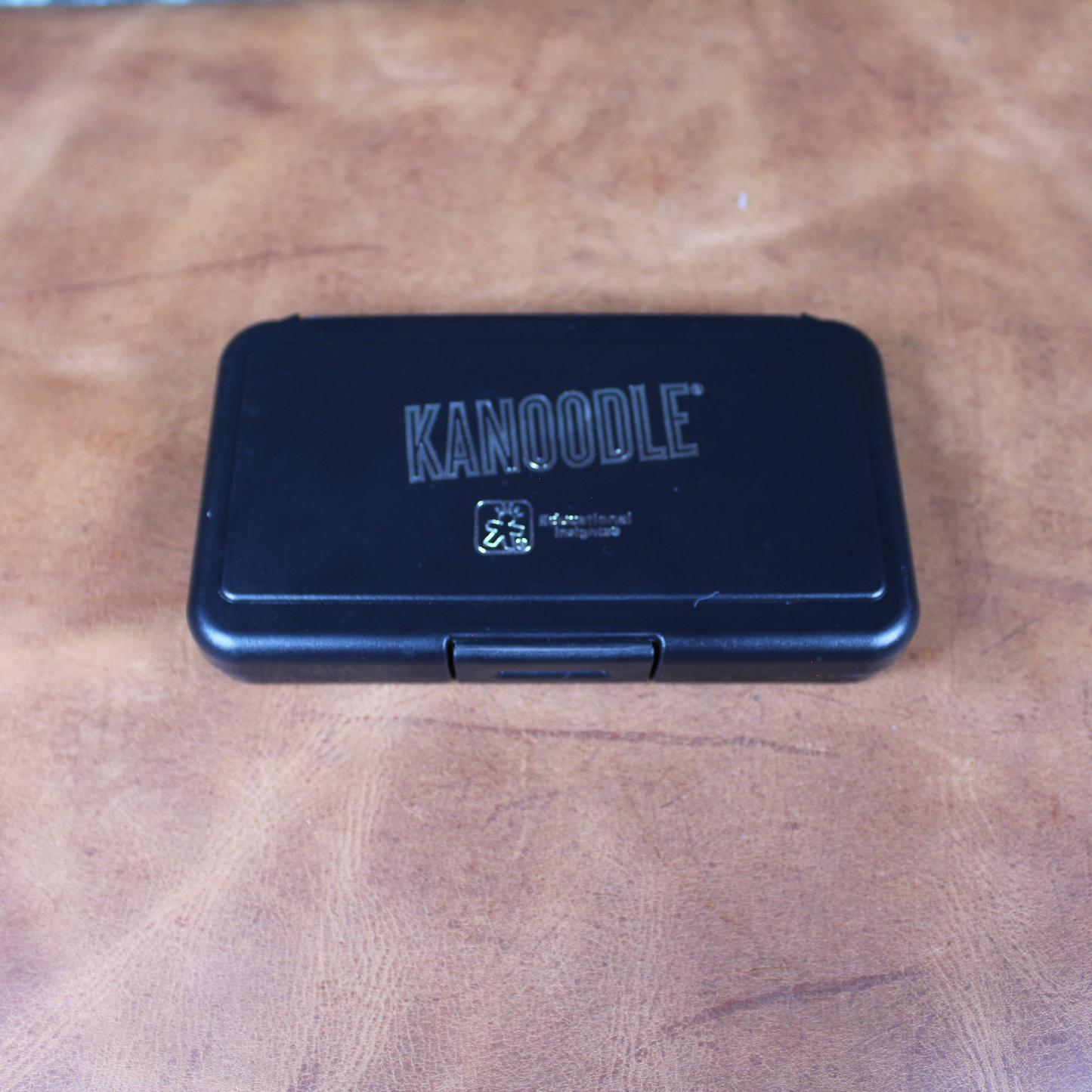 Kanoodle Puzzle Game